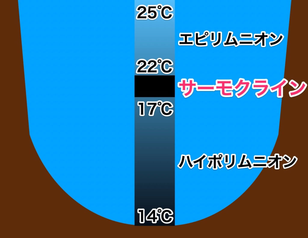 ターンオーバーがバス釣りに及ぼす影響解説 ターンオーバーの時に選ぶべきポイントとは 釣りろん