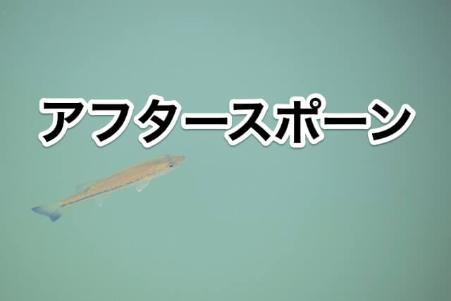 バス釣りにおいてのアフタースポーンの釣り方とは 釣りろん